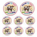 PE13293CT