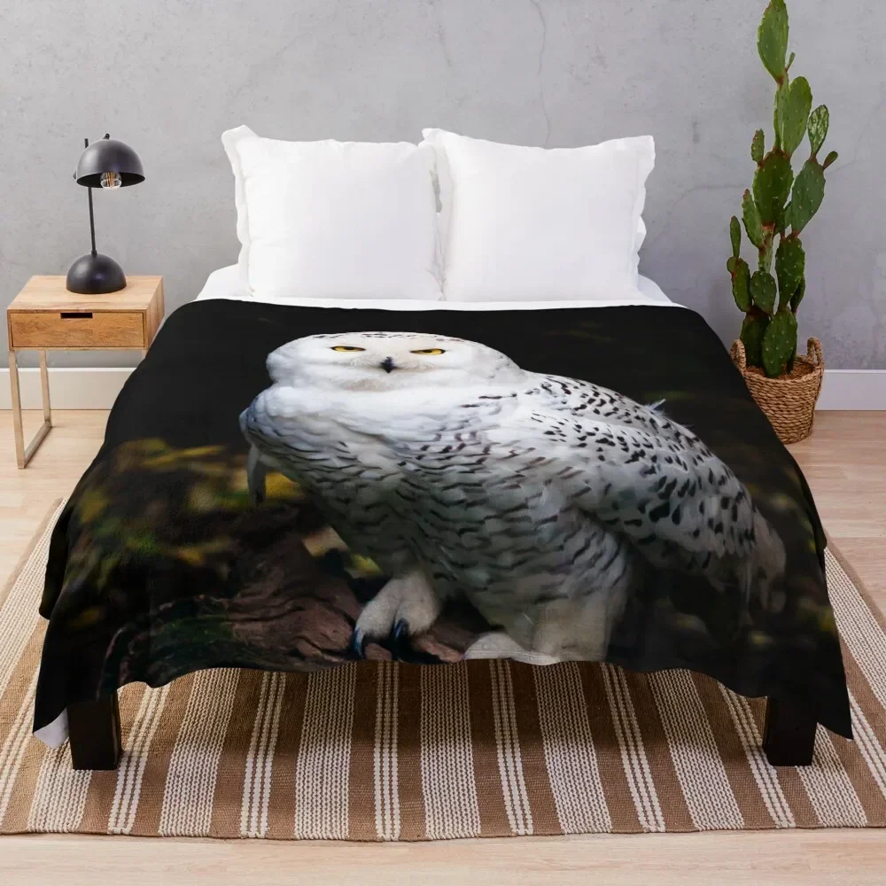 Majestic winter snowy owl Throw Blanket Luxury Throw Decorative Sofa Designers Blankets