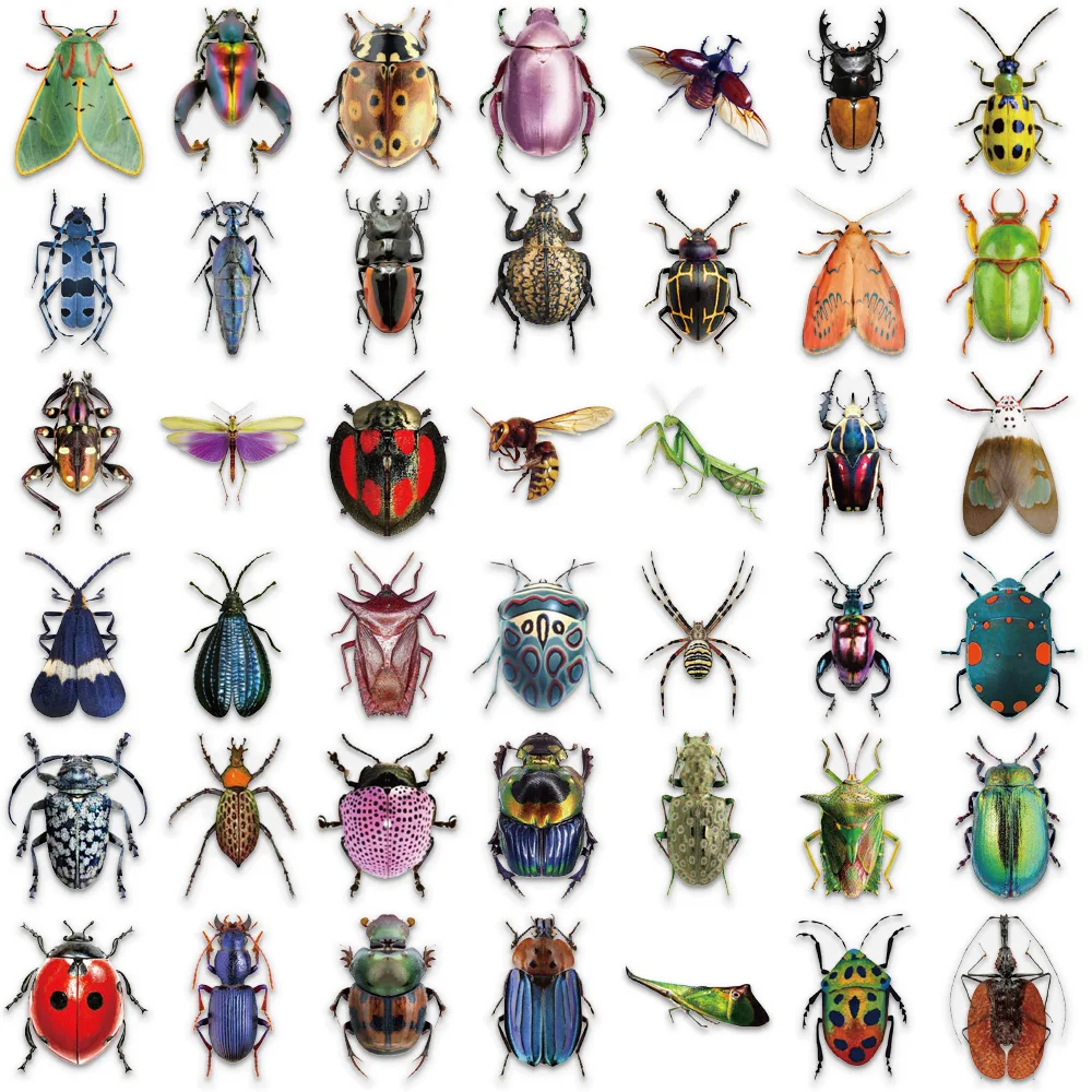 50PCS Stickers of Various Cute Insects and Beetles Insect Teaching Aids Stickers Collectible Stickers for Insect Lovers