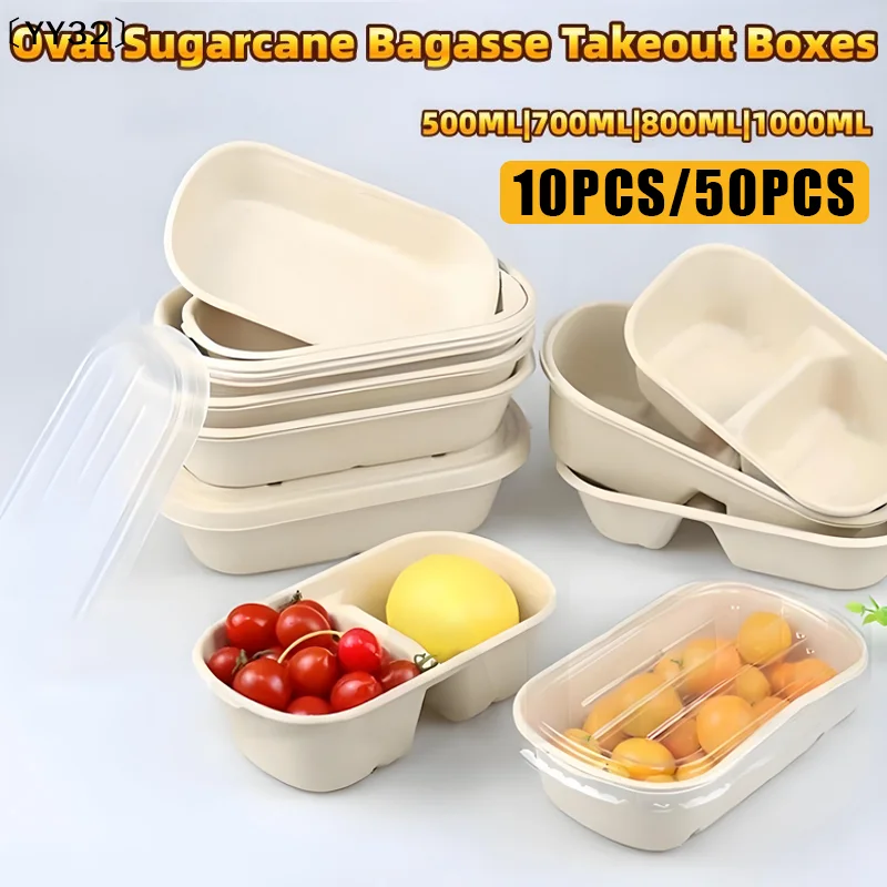 10/50PCS Oval Sugarcane Bagasse Boxes Eco-Friendly Biodegradable Food Containers W/PET Lid〔YY32〕