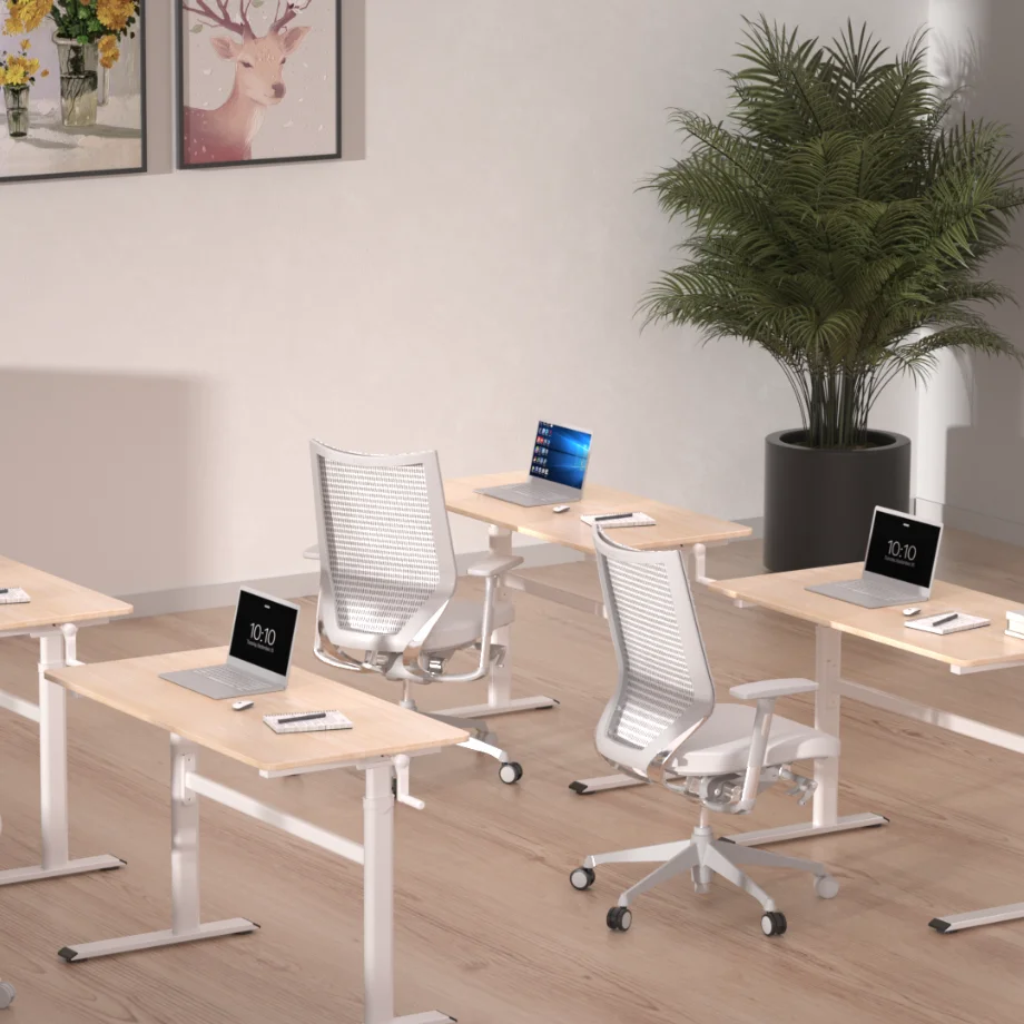 Adjustable Desk Table | Motorized Height-Adjustable Standing Desk For Home/Office