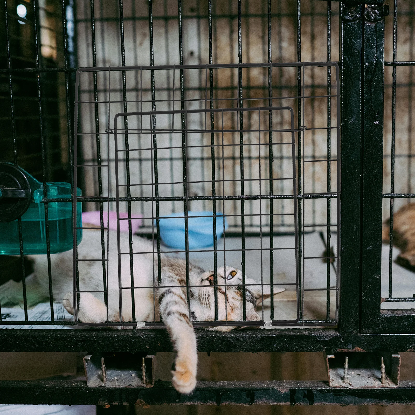 

Resistance Pet Cage Door DIY Assemble Metal Wire Dog Cat Accessories Easy Install Cat Cage Door DIY Supplies