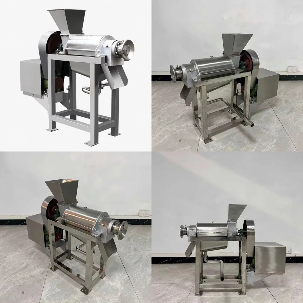Commercial Passion Juicer for Small Fruit Pulper for Peach Ginger Extractor for Orange Cold Press Juice Machine for Home