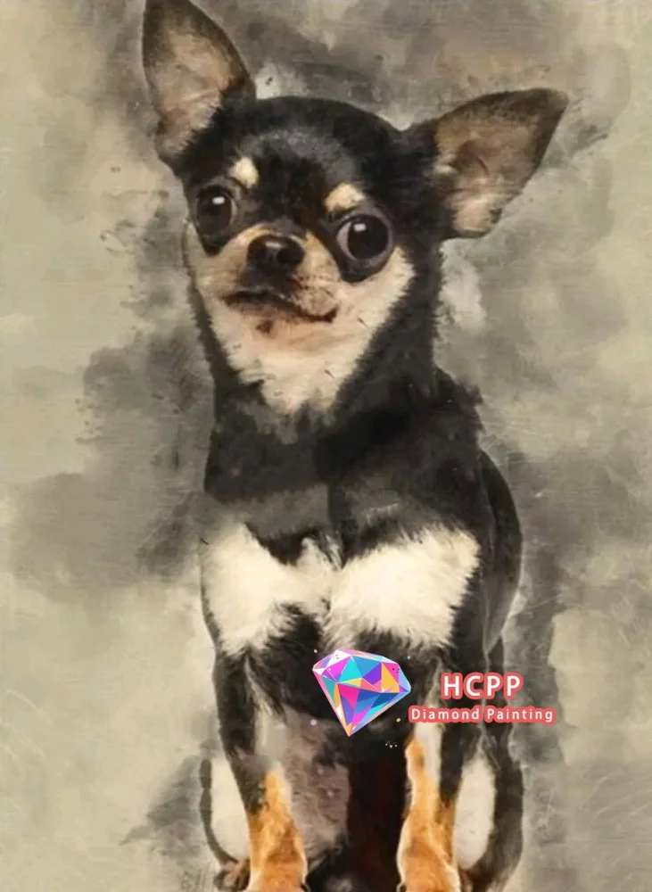 MXJSUA Diamant Schilderij Set – Teckel Hond – 30x40 Cm – Ronde Boor – 5D DIY Kit – Voor Volwassenen – Inclusief Alle Benodigde Accessoires