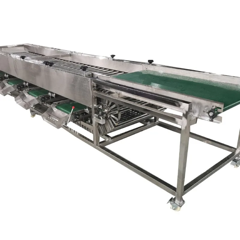 

Passion Fruit Cherry Fruit Weighing Sorter, Dragon Fruit Orange Sorter