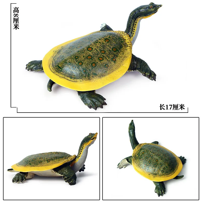 Simulation Marine Animals Ornaments Turtles Eared Slider Tortoise Amphibians Animal Model Children Science Education Tools Toys
