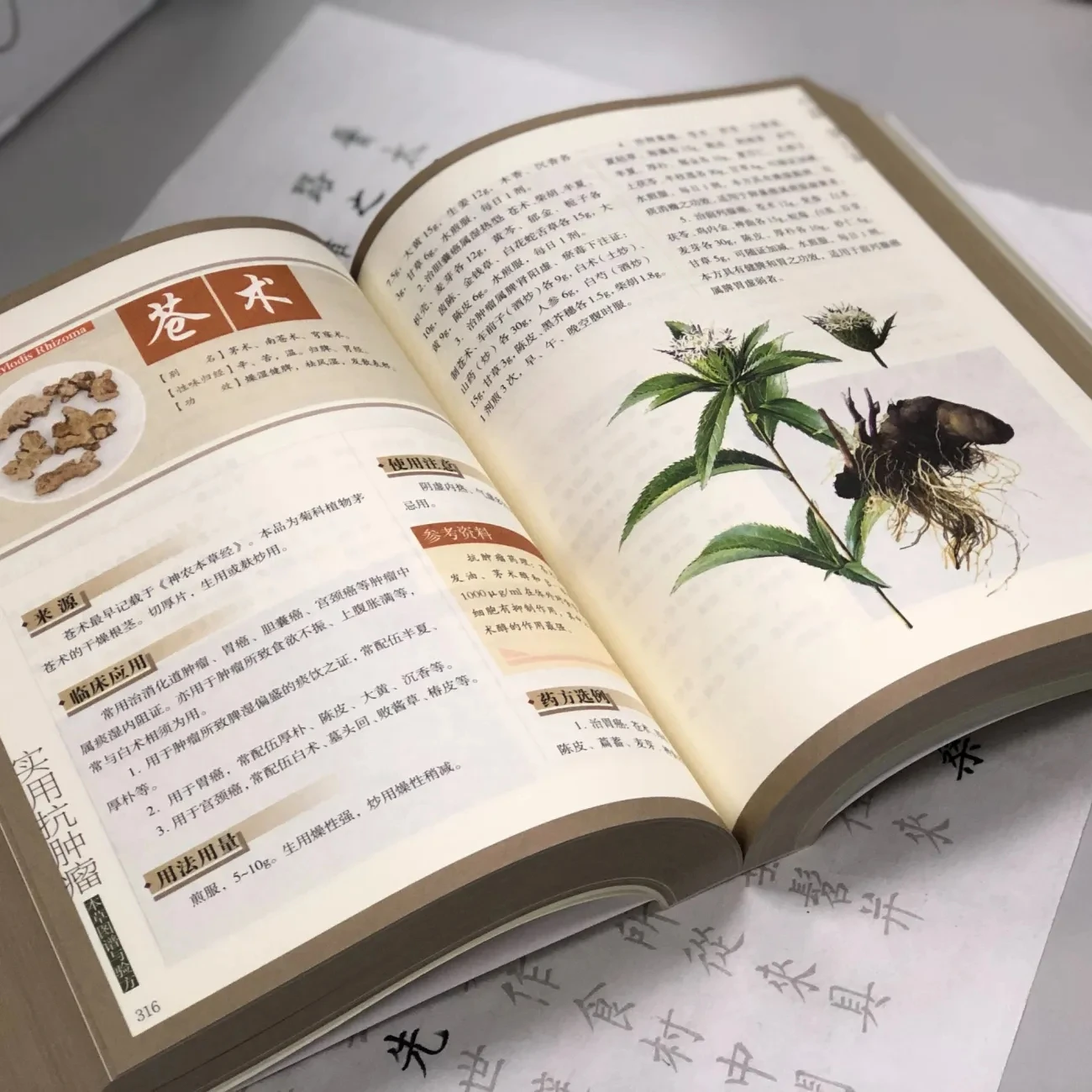 Practical Anti-Cancer Herbal Guide: Treating 30 Types of Cancer & 30 Complications with TCM Formulas