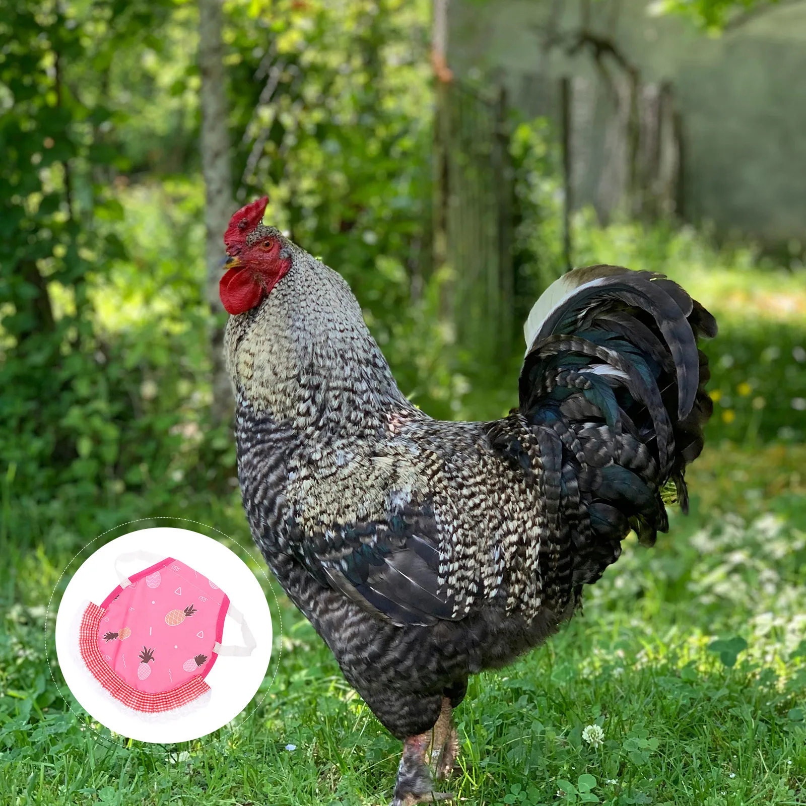 

Hen Apron Chicken Saddle Double Layer Polyester Adjustable Elastic Poultry Vest for Hens Protect Plumes Body