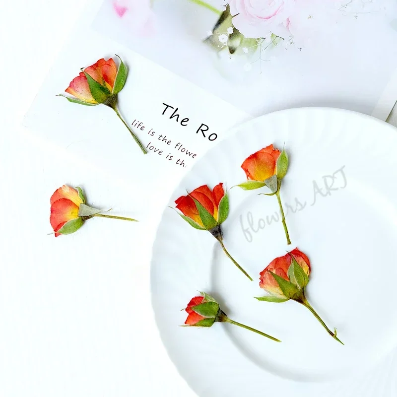 Pressed rose Bud flower core dry flower DIY plant photo frame handmade Epoxy aromatherapy bookmark drip glue phone case,12pcs