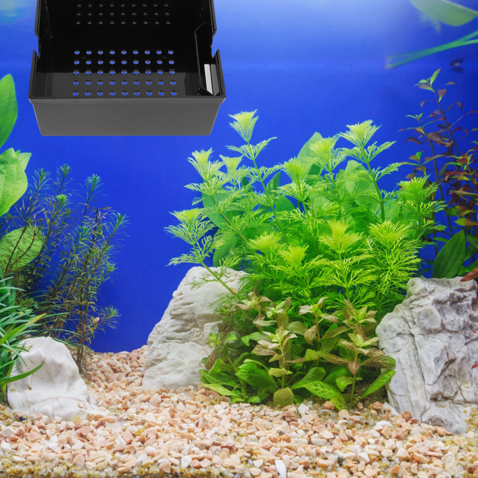 

1 Set Aquarium Fish Tank Filter Box Professional Household Compact Plastic Filter Case For Small Aquarium Easy Maintenance Gift