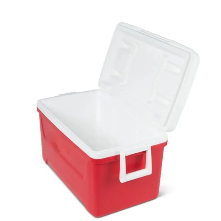 

48 QT Hard-Sided Cooler with Swing-Up Carry Handles, Portable Insulated Ice Chest for Camping, Beach, Picnic and Day Trips, Hol