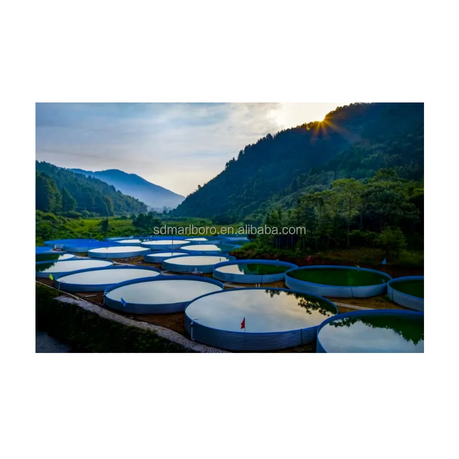 AIROW Hot Sale Fish Farming Ponds  Collapsible Water Tank Large Plastic Fish Tanks Manufacturer