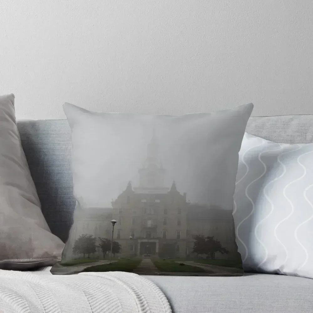 

Trans-Allegheny Lunatic Asylum Throw Pillow Pillow Covers Decorative pillowcases for sofa cushions pillow