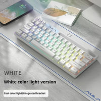 AULA Tarantula F3061 Mini Mechanical Feeling Keypad 61 Keys Wired RGB Desktop Notebook Tablet Portable