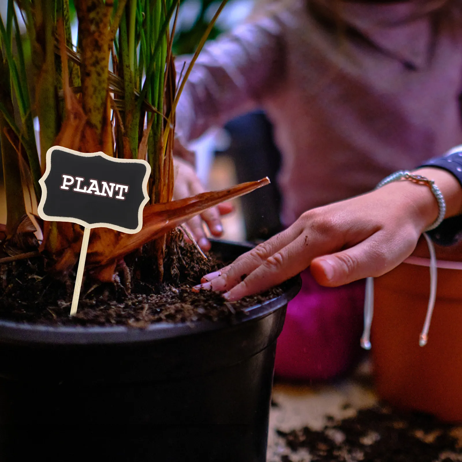 Mini Chalkboards 10pcs – Portable Blackboard Signs for Plant Labels, Price Tags, Wedding Decor & Home Crafts