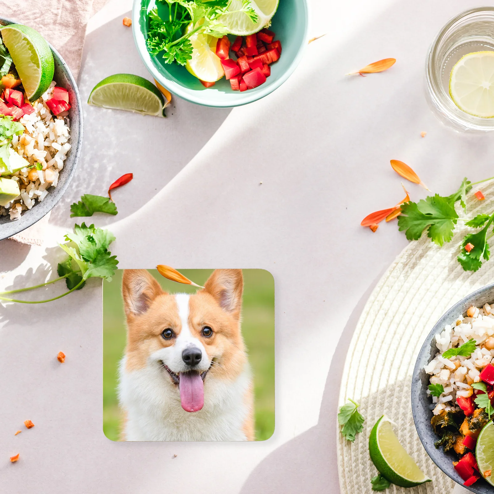 

12Pcs Sublimation Heat Transfer Coasters Blank DIY Cup Mats Smooth Surface Non-Slip Sublimation Coaster Blanks