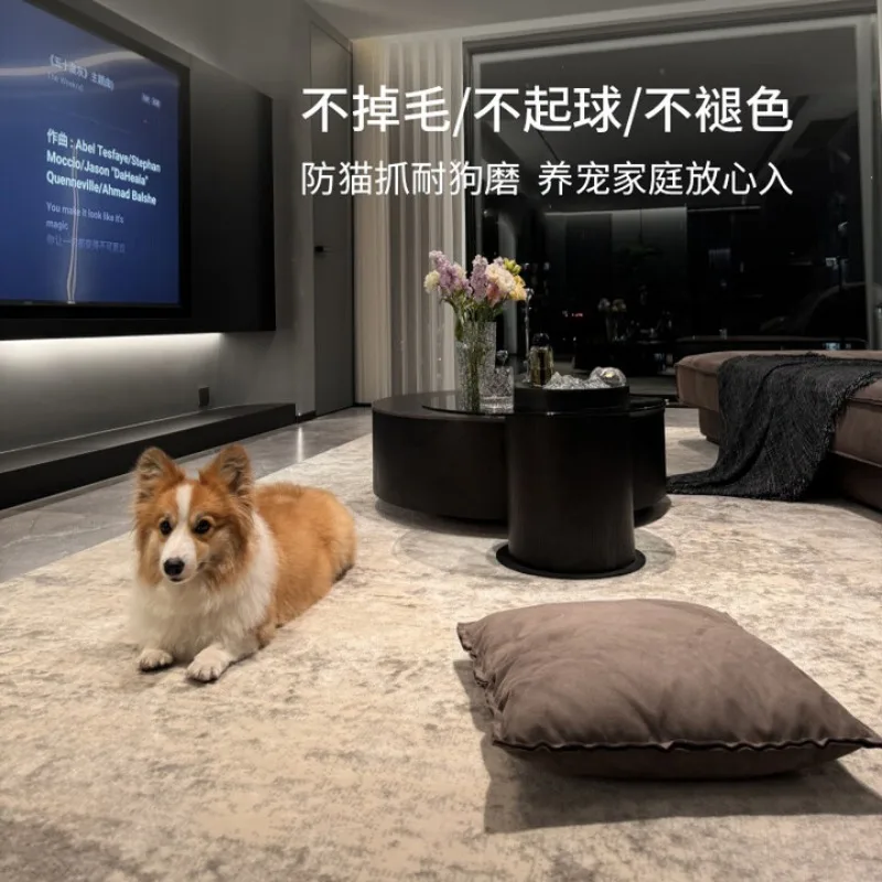 Tapis salon lumière luxe