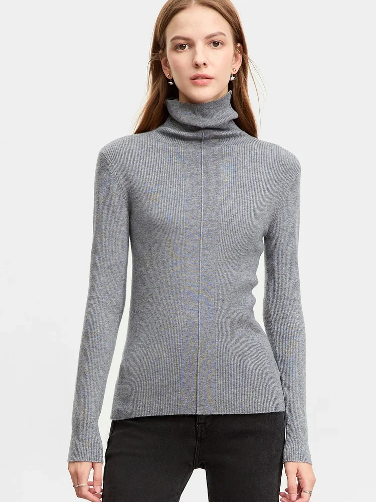 AMII Minimalist Turtleneck Sweater for Women 2024 Spring New Warm Slim High Elastic Base Long Sleeve Pullovers Tops 12343347