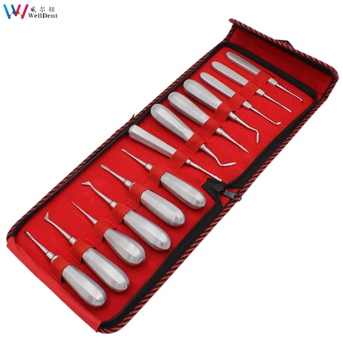 13Pcs/set Dental Elevator Stainless Steel Tooth Dentist Tools Kit Straight Curved Root Elevator Stainless Steel Dental Luxating