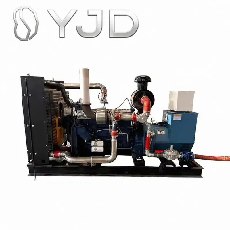 Junwei Superior Quality 6kW Biogas Generator Micro CHP Unit Made in China 400/230V Water Cooled