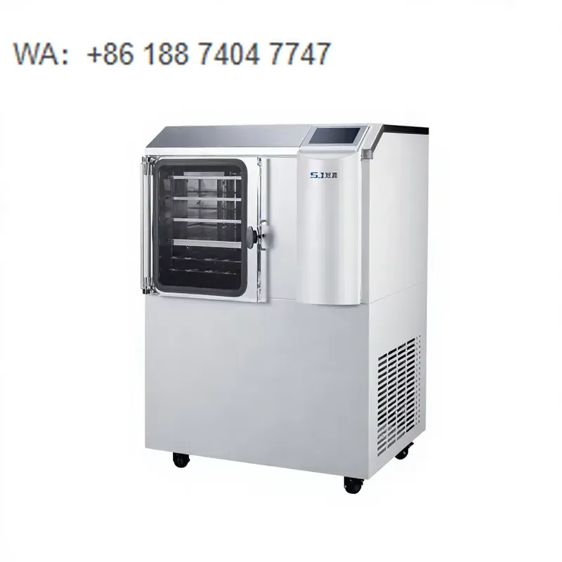 for SJIALAB Small Laboratory Vacuum Freeze Dryer Pump with Cold Lyophilizer Freeze Drying Equipment for Sale