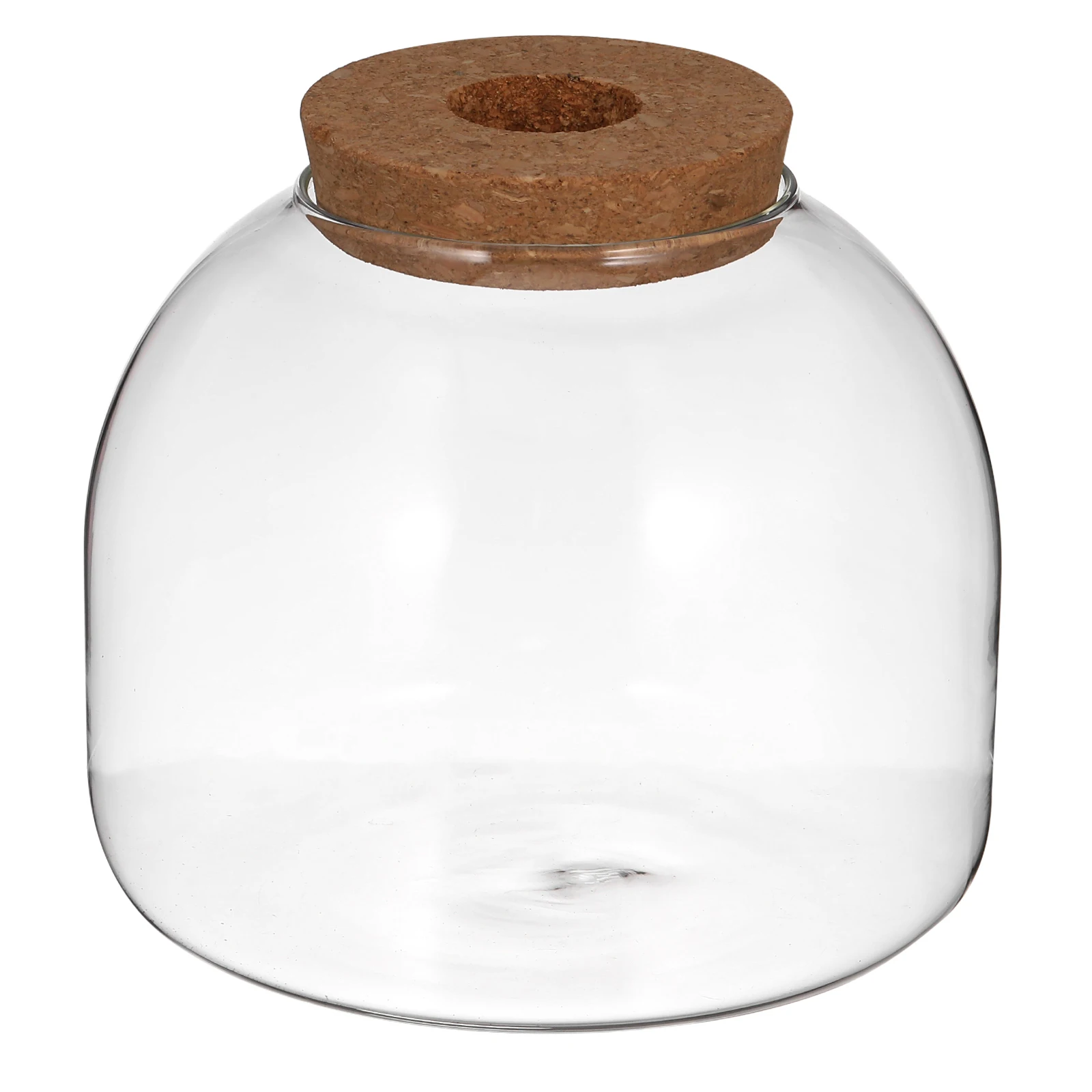 

Glass Terrarium Jar Wood Stopper Micro Landscape Container Decorative Plant Terrarium Ecosystem Container for Home Living Room