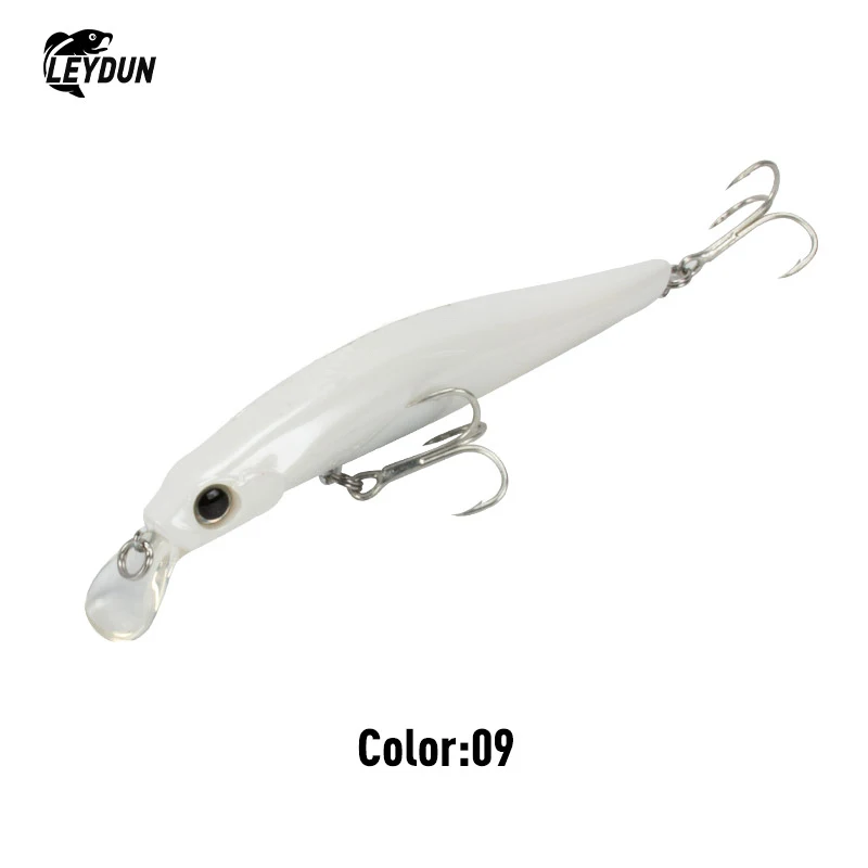 LEYDUN Künstler FR Silence Sinking Minnow Angelköder 80 mm 105 mm Jerkbaits Gute Aktion Wobbler Hochwertige harte Köder Seebarsch