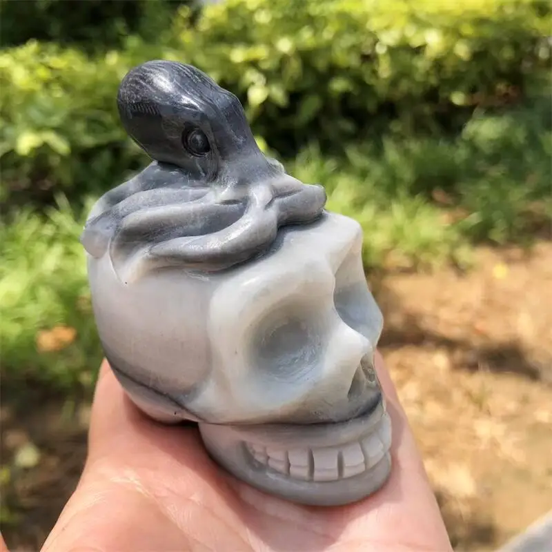 

Natural Taichi Stone Octopus Skull Carving Gemstone Carved Reiki Healing Gift Crafts Feng Shui Home Decoration Stone Statues