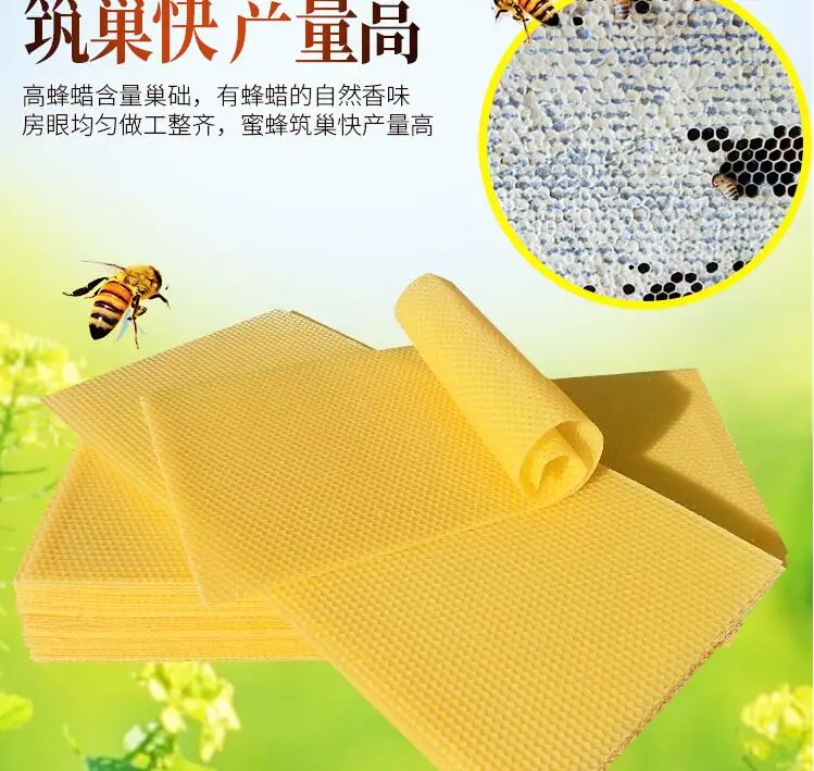 Deep chamber beeswax bee septum 41.5x19.5cm 30pcs/box NO.TXF-1065