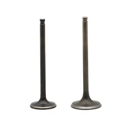 ATV  Intake/Exhaust Valve Set For Honda TRX250EX Sportrax 250 2x4 2001 2002 2003 2004 2005 2006 2007 2008 TRX 250 EX