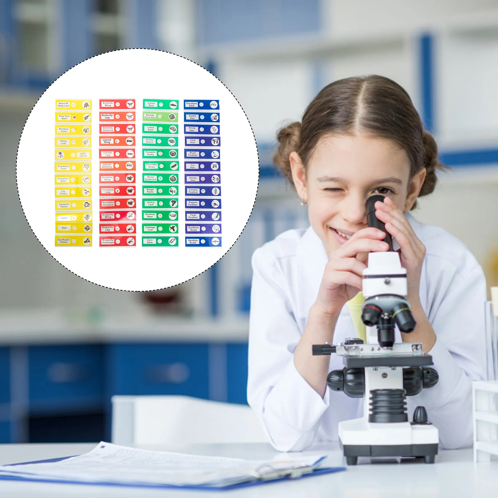 48 Uds portaobjetos para microscopio etiquetas de plantas muestra biológica rebanada insectos muestra Abs plástico niño