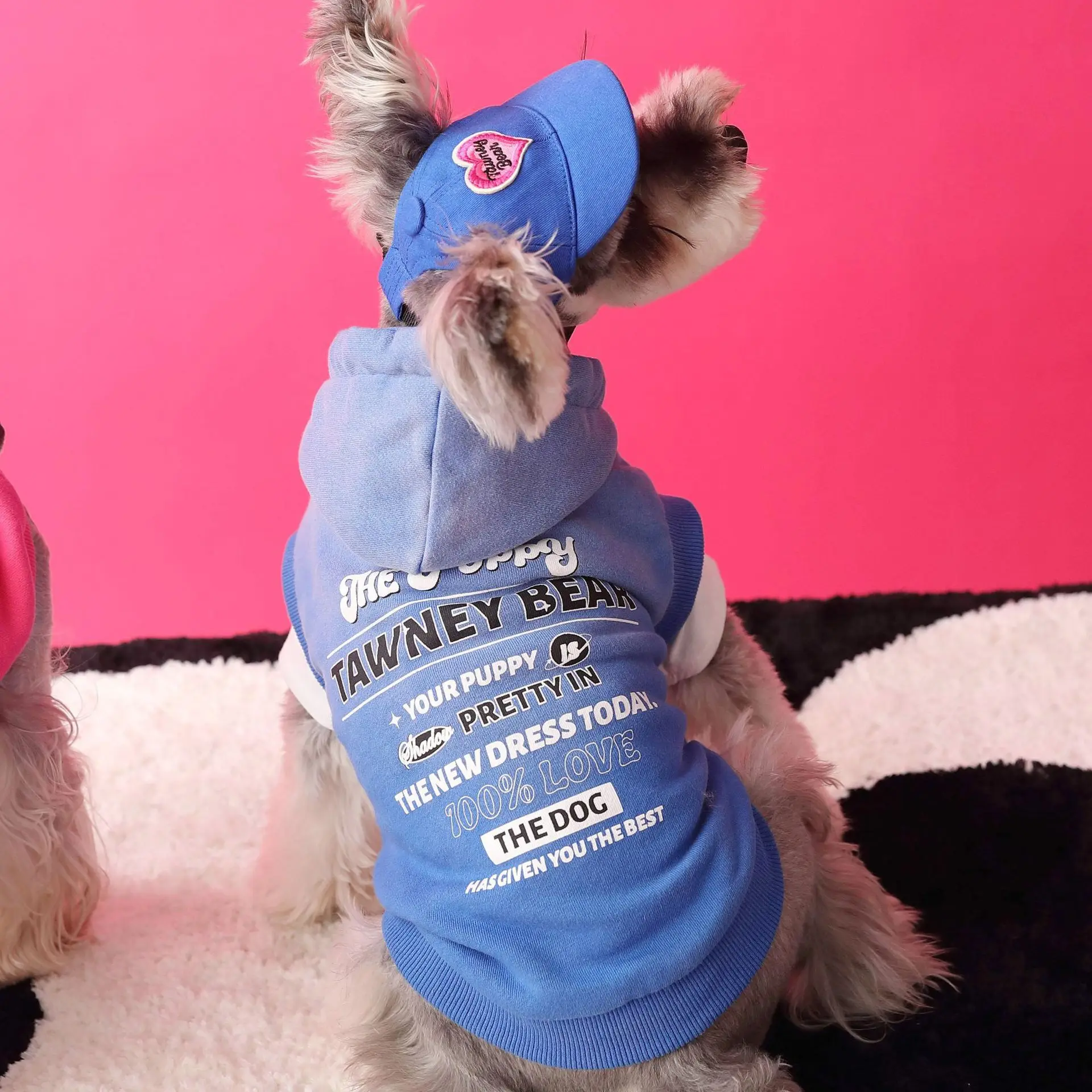 Dog Clothes Spring Autumn Schnauzer Bears Teddy Shiba Dog Printed Letter Gradient Sleeveless Pet Hoodie 강아지옷 одежда для собак