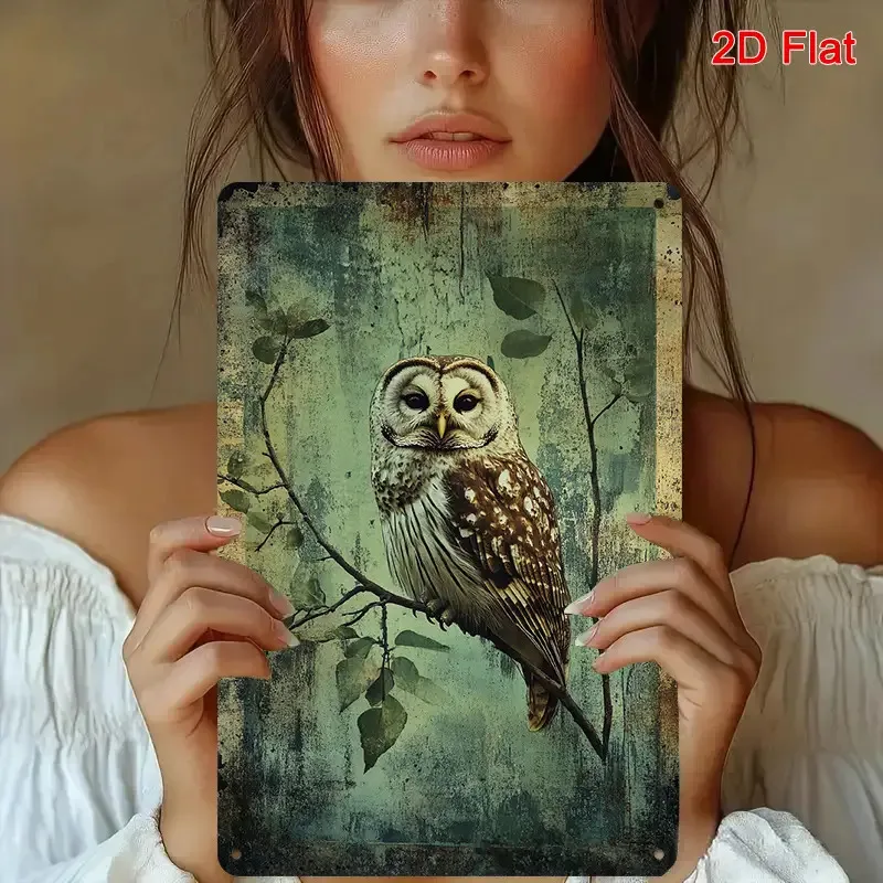 2D Flat - [2D Plane] This Is a 2D Plane Retro Nighthawk Metal Wall Art Sign, Measuring 8X12 Inches, Featuring an Owl And a Great