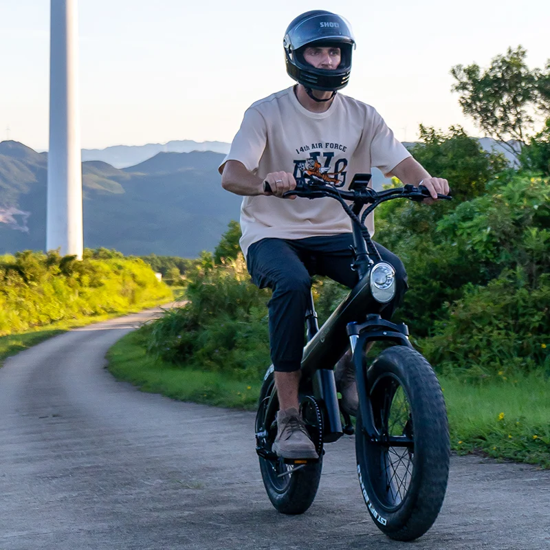 

Заводская цена 750 Вт уличная электрическая беговая дорожка прогулочный велосипед электрический грязевой велосипед литий-ионный аккумулятор E-цикл велосипед