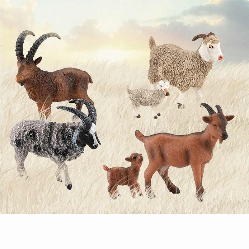 Simulation Animal Sheep Goat Cognitive Model Plastic Handicraft Miniatures School Teaching Tool Home Decoration Toy gift A855