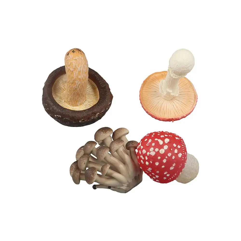 Vegetable Model Fungus Figurines Matsutake Oyste Artificial Simulation Mushroom Landscape Miniatures Plant Fungus Model