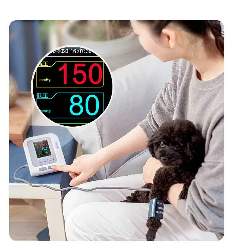 Cantec pet Sphygmomanometer, Cat and dog cuffs, Electronic Blood Pressure Monitors for animals CONTEC08A-VET andPC Softwear