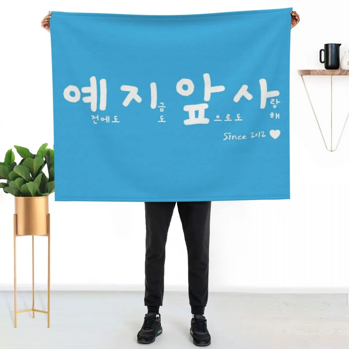 

BTOB  YEJIAPSA past present future love with official color background Throw Blanket Soft Solid Color Blanket for Couch Bed