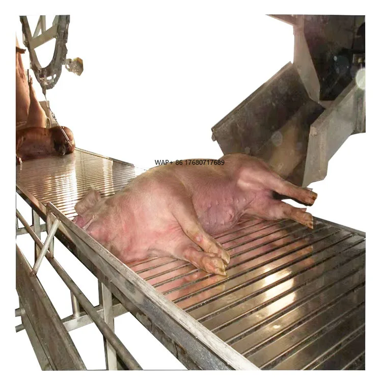 

Factory Supply Pig Slaughtering Equiment for Slaughterhouse Pork Meat Cutting Machine and Processing Machine