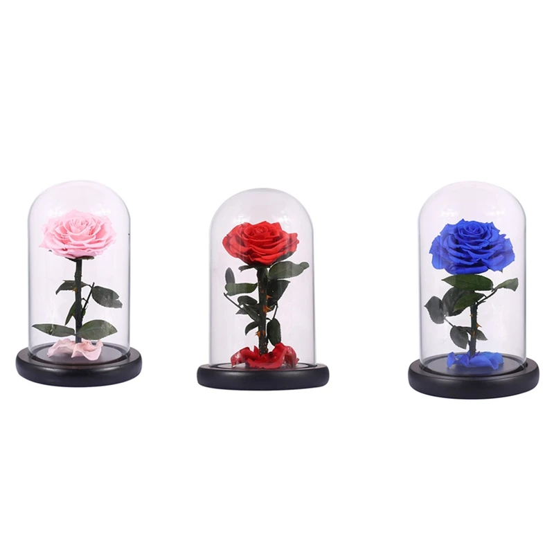 

Glass Cover Fresh Preserved Rose Flower Barbed Rose Flores For Wedding Marriage Home Party Decoration Valentine's Day Gift