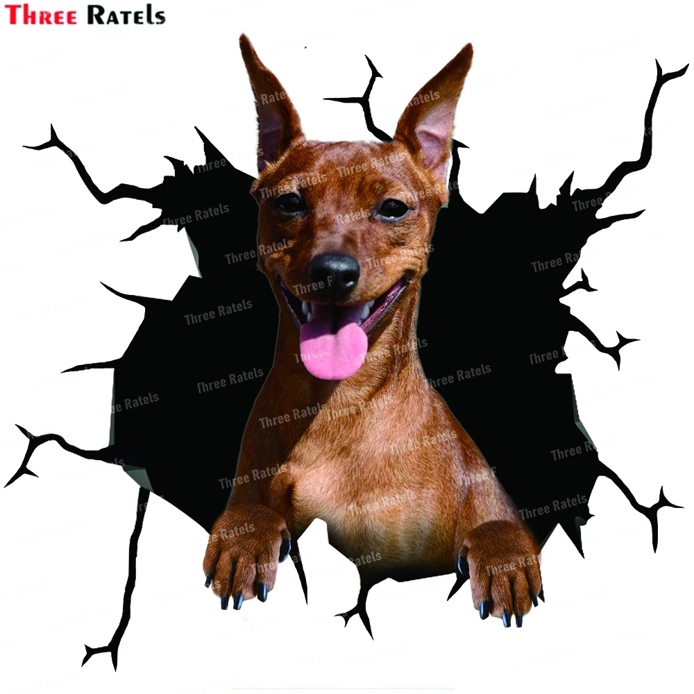 Three Ratels BH Doberman Pinscher Stickers For Bmw E90 Anti Scratch  Film Vinyl Waterproof Material