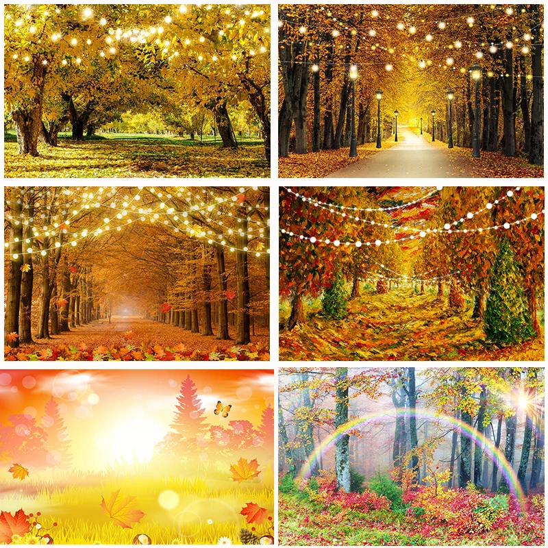 Autumn Forest Series Photography Fundos para crianças, folhas de outono, retratos, baby photo banner, fundo de feriado, halloween, outono