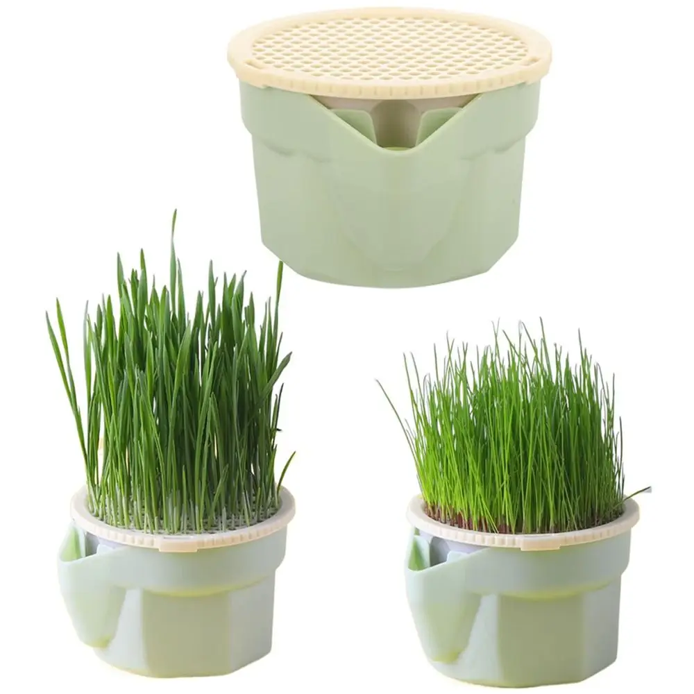 Easy To Grow Cat Grass Box Planter Reusable Hydroponic Microgreens Growing Kit Hierarchical Design Detachable