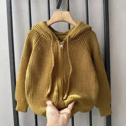 Children's Sweater Autumn/Winter Boys' Knitted Sweater Cardigan Coat Girl Baby Thick Western Style Warm Knitted Sweater