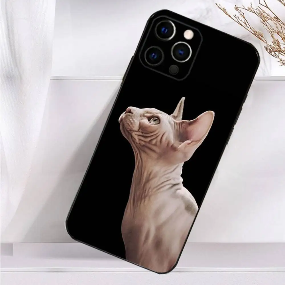 สัตว์เลี้ยงแมวSphynx Sphinxเคสโทรศัพท์สําหรับiPhone 16,15,14,13,12,11 Plus,Pro Max,XS,X,XR,SE,Mini,8,7 ซิลิโคนนุ่มปกสีดํา