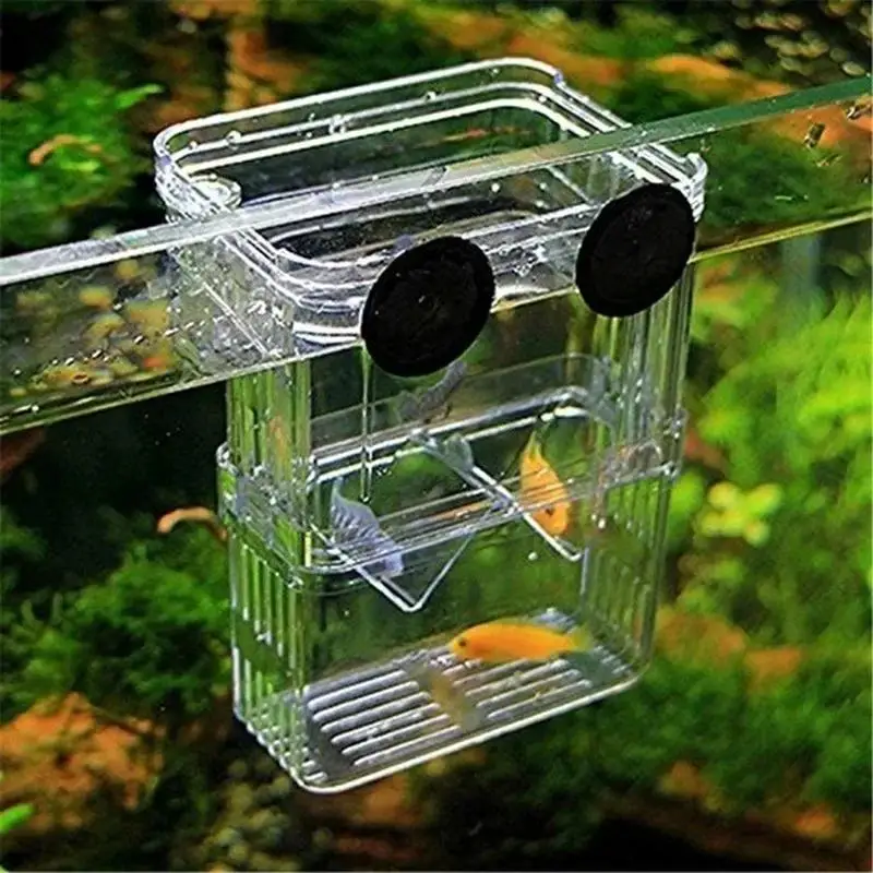 Transparent Fish Aquarium High - Aquarium Fish Jar 评论和价格