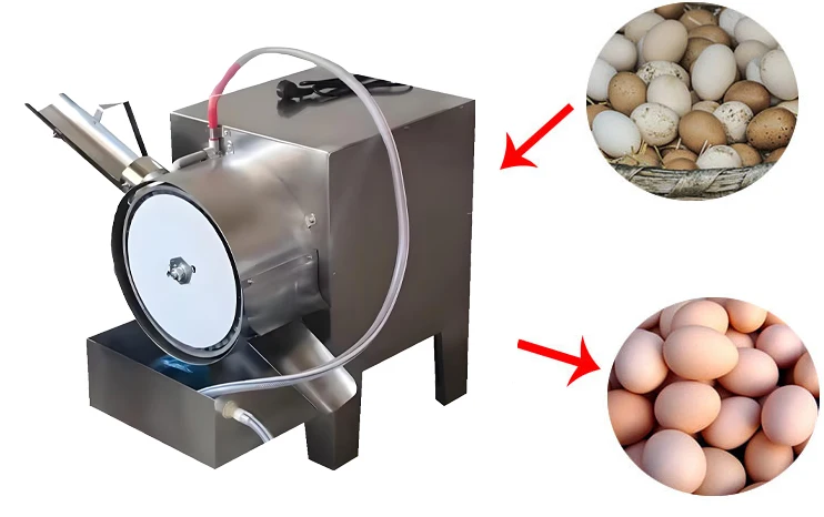 ملحقات ماكينة غسل البيض على نطاق واسع عالية الجودة ماكينة غسل البيض التجارية ماكينة غسل قشرة البيض #4