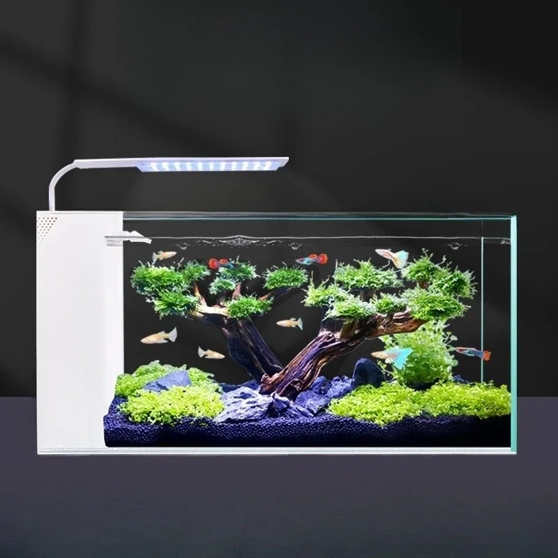 

New living room ultra-white glass fish tank, wet and dry separation fish tank, side filter self-circulation goldfish ecologi