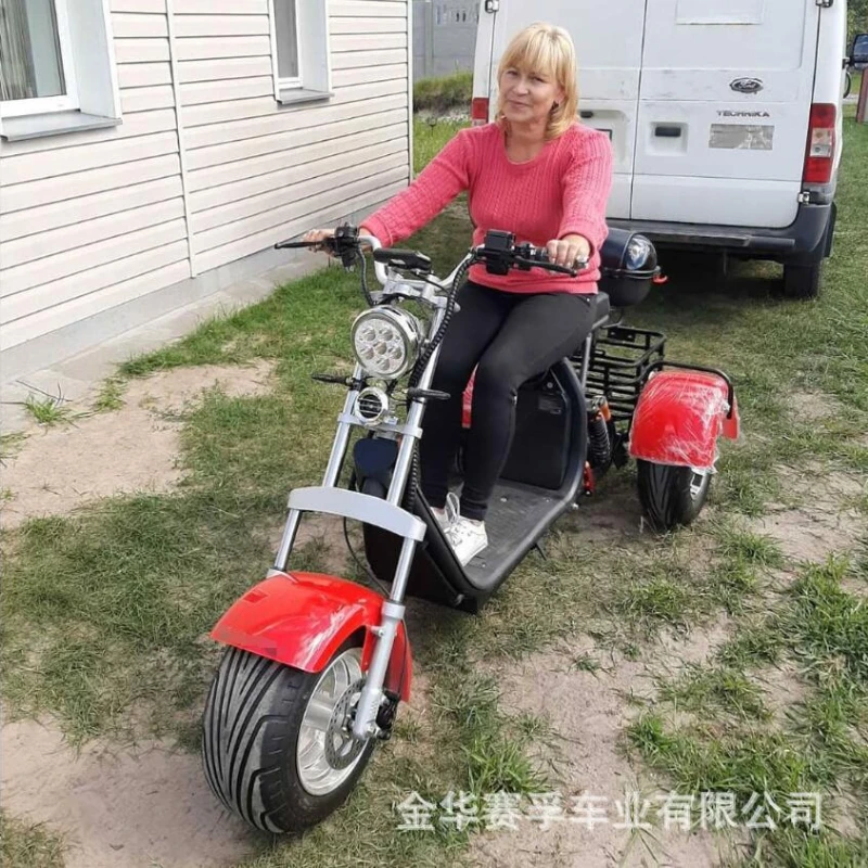 Electric Tricycle Snow Mountain 3000W60V40AH Lithium Battery Electric Dirt Bike 12Inch Fat Tire Full Suspension Electric Scooter