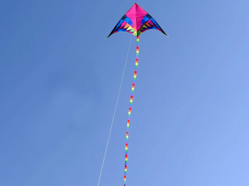 จัดส่งฟรีขนาดใหญ่ delta kite สําหรับเด็กไม้ kite reel เด็กเกมกลางแจ้ง professional paragliding octopus kite บินของเล่น